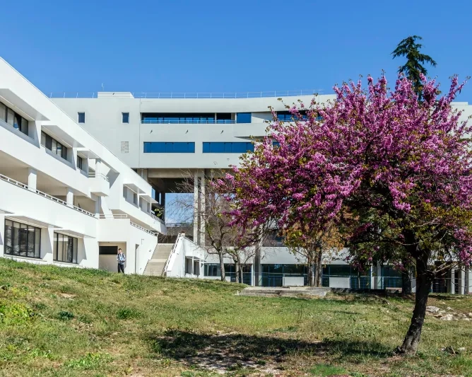 Campus de Marseille